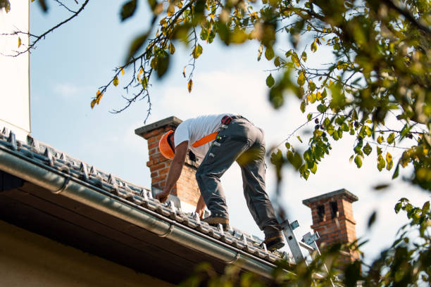 Best Roof Moss and Algae Removal  in Uhland, TX